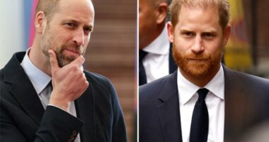 Prince Williamâs âruthless sideâ emerges as he views Prince Harry as âuntrustworthy': experts